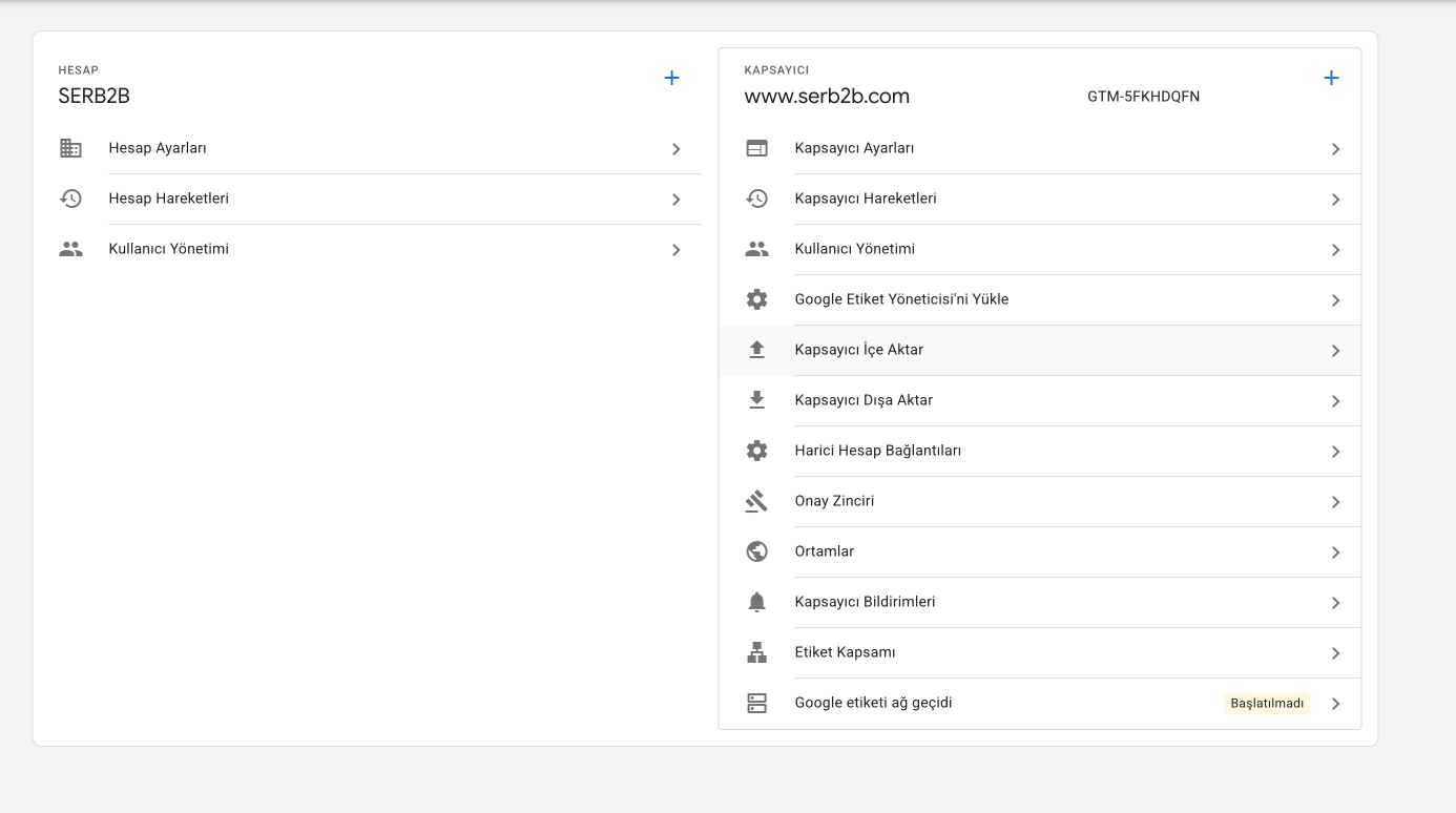 GTM Kapsayıcı İçe Aktar